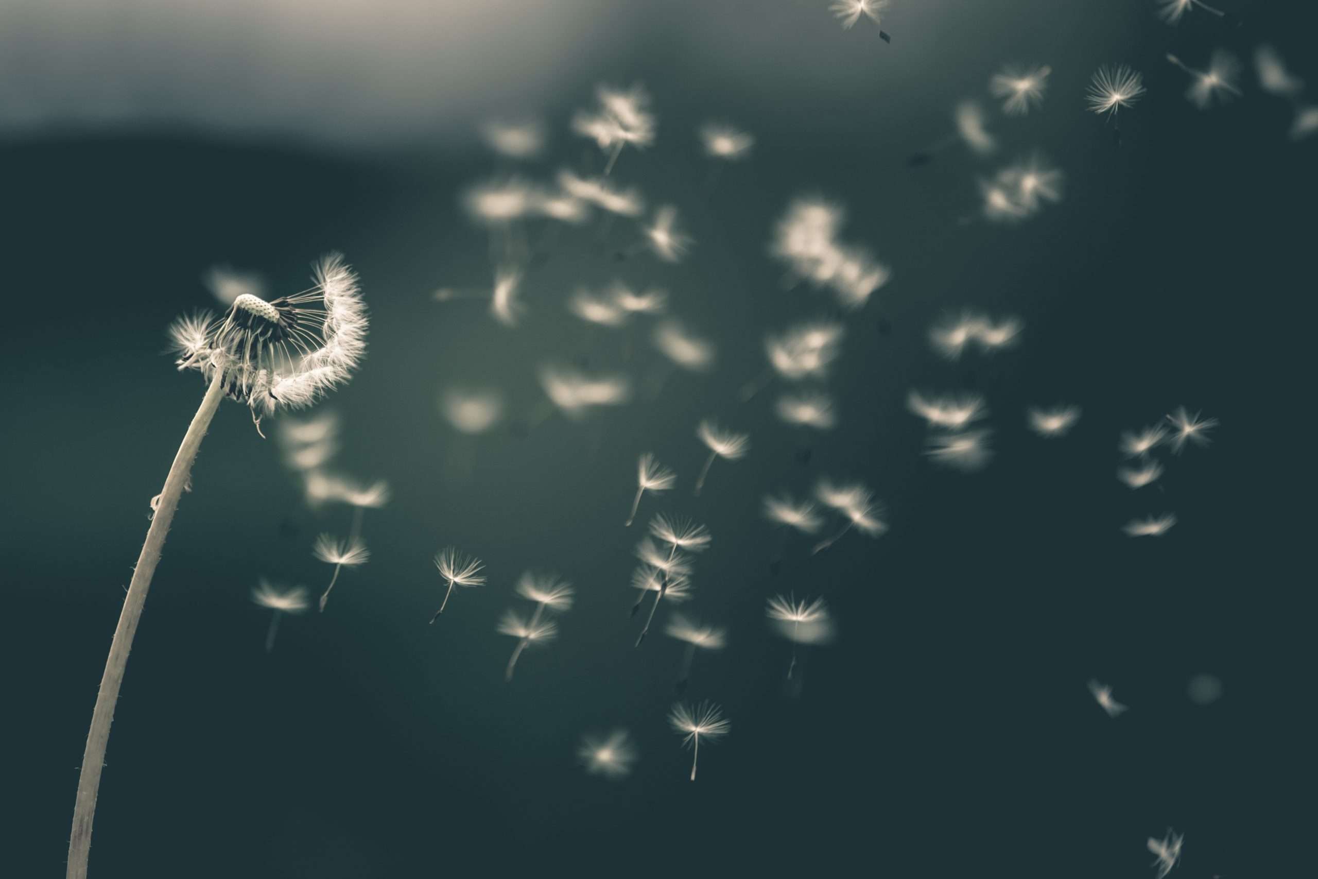 Allergies