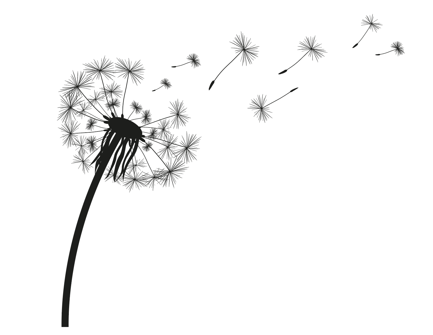 Faire face aux allergies