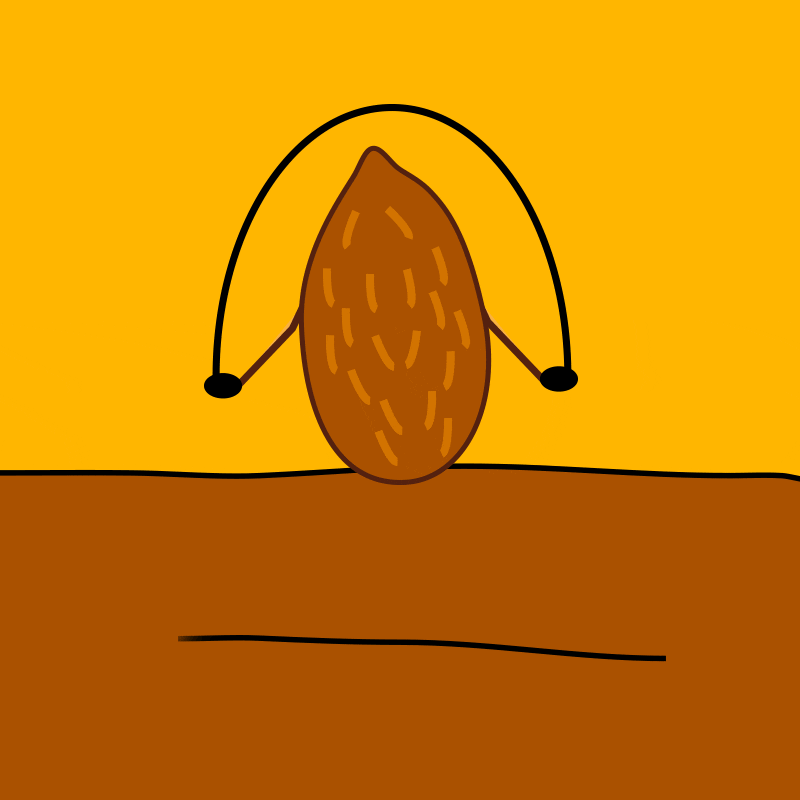 Glucose