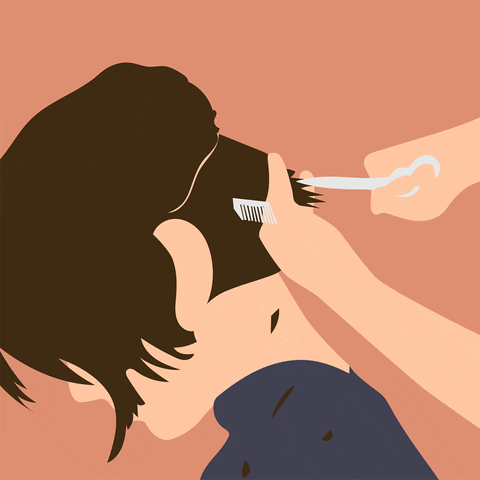 Don de cheveux
