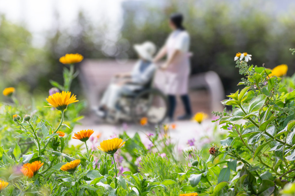 Malnutrition chez les seniors