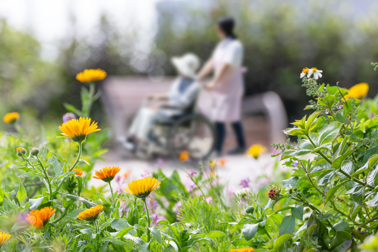 Malnutrition chez les seniors