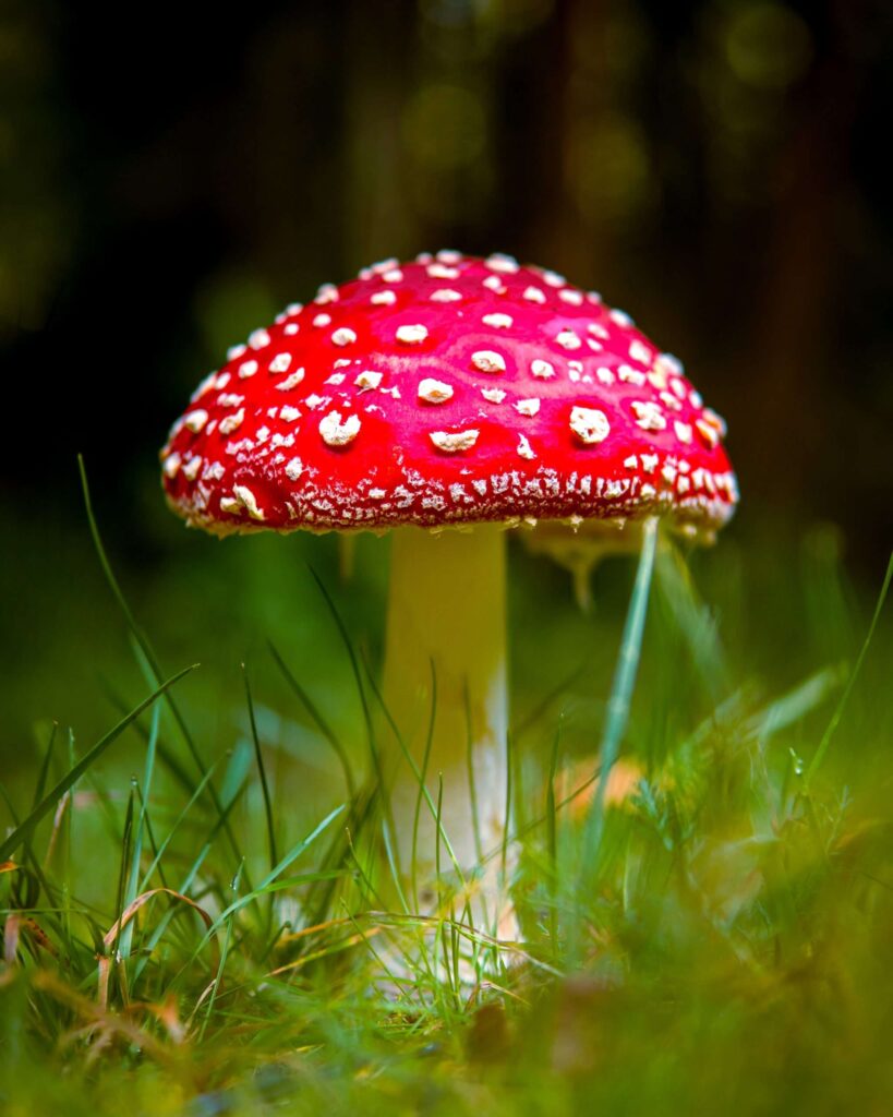 <strong>Mycoses, attention aux endroits chauds et humides</strong>