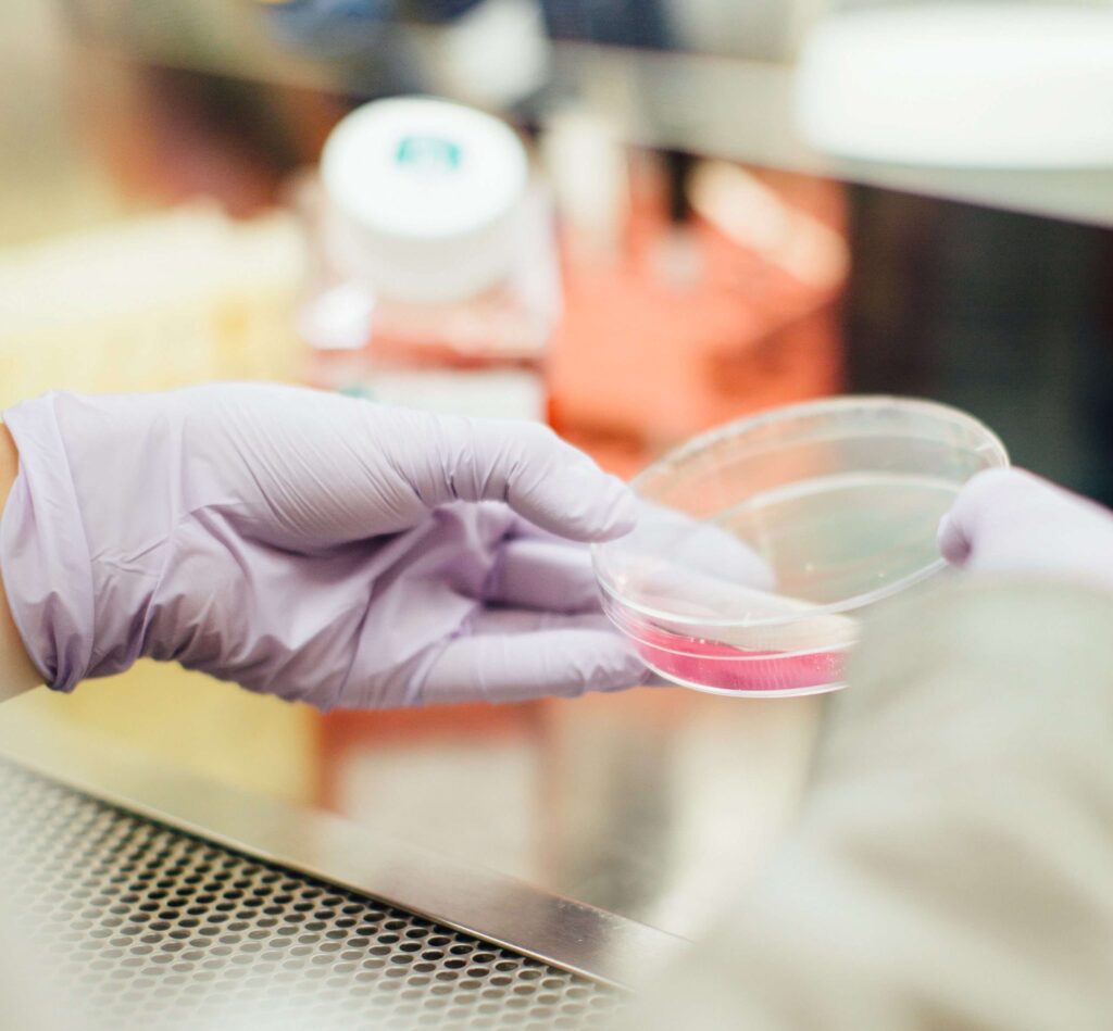 Les laboratoires au service de notre santé